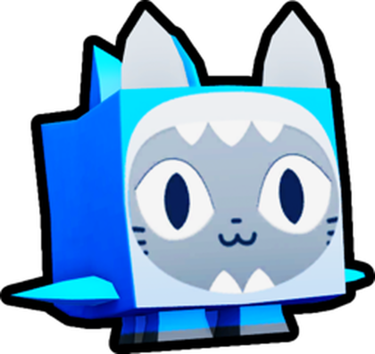 Shark Cat