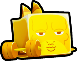 Golden Gym Shark